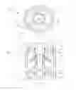 Fig. 07 - Wellbore drilling using dual drill string