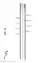 Fig. 32 - Wellbore Plug Isolation System and Method