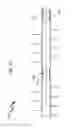Fig. 35 - Wellbore Plug Isolation System and Method