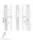 Fig. 33 - Wellbore plug isolation system and method