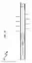 Fig. 34 - Wellbore plug isolation system and method