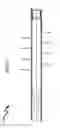 Fig. 31 - Wellbore plug isolation system and method