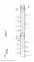 Fig. 35 - Wellbore plug isolation system and method
