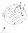 Fig. 59 - Wellbore plug isolation system and method