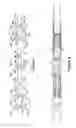 Fig. 02 - Downhole Apparatus