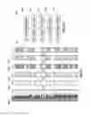 Fig. 09 - System and method for performing downhole stimulation operations