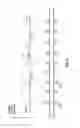 Fig. 23 - System and method for performing downhole stimulation operations