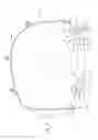 Fig. 06 - Horizontal muffler mounting assembly for an off-road vehicle