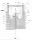Fig. 05 - Prechamber ignition system