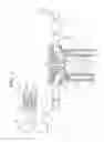 Fig. 02 - CONTROL APPARATUS FOR INTERNAL COMBUSTION ENGINE