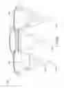 Fig. 09 - Durable canted off-axis driver for quiet pneumatic pumping
