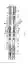 Fig. 09 - Device for hydraulically protecting a submersible electric motor of a downhole, preferably centrifugal, pump (variants)