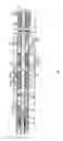 Fig. 13 - Device for hydraulically protecting a submersible electric motor of a downhole, preferably centrifugal, pump (variants)