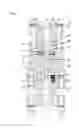Fig. 04 - Valve and pump arrangement with valve