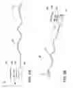 Fig. 04 - Electronic ceiling fan control system and method of use