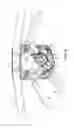 Fig. 05 - Speed control assembly for a self-propelled walk-behind lawn mower
