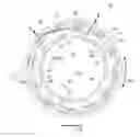 Fig. 01 - Hydrodynamic mating ring with integrated groove inlet pressure control