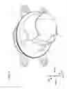 Fig. 02 - Vehicle lighting device