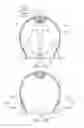 Fig. 03 - Illumination apparatus
