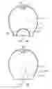 Fig. 10 - Illumination apparatus