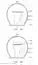 Fig. 12 - Illumination apparatus
