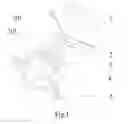 Fig. 02 - Light Emitting Diode Lighting