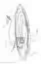 Fig. 02 - LED lens