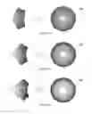 Fig. 05 - Revolved reflector with complex superficial micro-structures