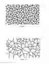Fig. 10 - Revolved reflector with complex superficial micro-structures