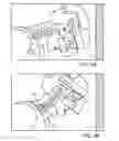 Fig. 05 - Skating rink markings and related methods