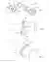 Fig. 02 - Firearm systems and methods
