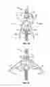 Fig. 09 - Broadhead with extendable blades