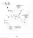 Fig. 02 - MOBILE-ASSISTED DETERMINATION OF THE ALTITUDE OF A MOBILE DEVICE
