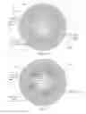 Fig. 09 - Method and system for determining information about a transparent optical element comprising a lens portion and a plane parallel portion