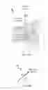 Fig. 12 - Method and system for determining information about a transparent optical element comprising a lens portion and a plane parallel portion