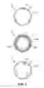 Fig. 08 - Orthogonal superposition rheometer