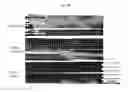 Fig. 35 - On-chip microfluidic processing of particles