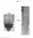 Fig. 38 - On-chip microfluidic processing of particles
