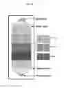 Fig. 49 - On-chip microfluidic processing of particles