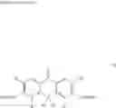 Fig. 06 - FLUORESCENT PROBE