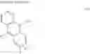 Fig. 19 - FLUORESCENT PROBE