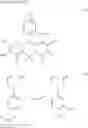 Fig. 24 - FLUORESCENT PROBE
