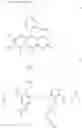 Fig. 25 - FLUORESCENT PROBE