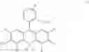 Fig. 40 - FLUORESCENT PROBE