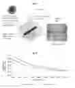Fig. 10 - NOVEL MATERIALS USEFUL FOR RADIOGRAPHIC IMAGING OF CONSTRUCTION MATERIALS AND METHODS USING SAME