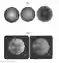 Fig. 14 - NOVEL MATERIALS USEFUL FOR RADIOGRAPHIC IMAGING OF CONSTRUCTION MATERIALS AND METHODS USING SAME