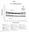 Fig. 19 - NOVEL MATERIALS USEFUL FOR RADIOGRAPHIC IMAGING OF CONSTRUCTION MATERIALS AND METHODS USING SAME