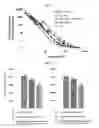 Fig. 22 - NOVEL MATERIALS USEFUL FOR RADIOGRAPHIC IMAGING OF CONSTRUCTION MATERIALS AND METHODS USING SAME