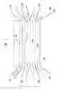 Fig. 02 - Multiple laminar flow-based particle and cellular separation with laser steering