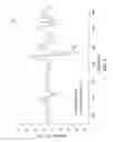 Fig. 04 - Short-wave infrared super-continuum lasers for detecting counterfeit or illicit drugs and pharmaceutical process control